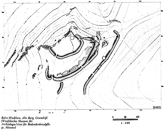 Alte Burg, Grundri. (Westflisches Museum fr Archologie / Amt fr Bodendenkmalpflege Mnster)