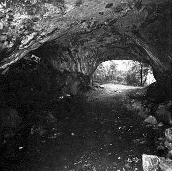 Feldhofhhle